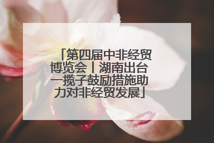 第四届中非经贸博览会丨湖南出台一揽子鼓励措施助力对非经贸发展