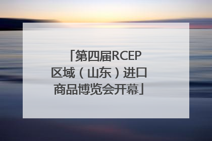 第四届RCEP区域（山东）进口商品博览会开幕