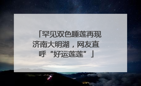 罕见双色睡莲再现济南大明湖，网友直呼“好运莲莲”