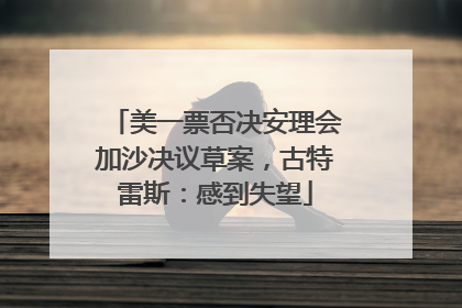 美一票否决安理会加沙决议草案，古特雷斯：感到失望