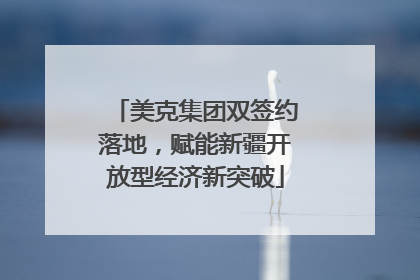 美克集团双签约落地，赋能新疆开放型经济新突破