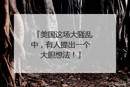 美国这场大骚乱中，有人提出一个大胆想法！