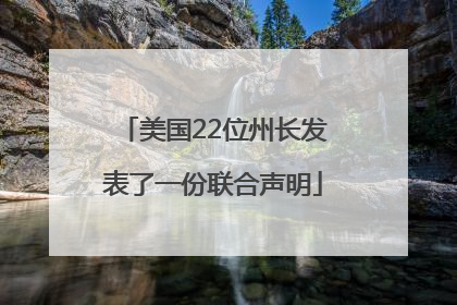 美国22位州长发表了一份联合声明
