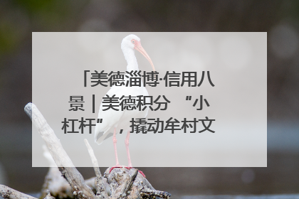 美德淄博·信用八景｜美德积分 “小杠杆”，撬动牟村文明 “大能量”