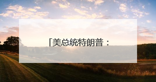 美总统特朗普：加州州长和洛杉矶市长“无能”