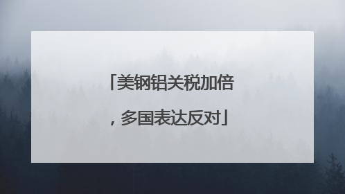 美钢铝关税加倍，多国表达反对