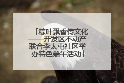 粽叶飘香传文化——开发区不动产联合李太屯社区举办特色端午活动