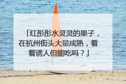红彤彤水灵灵的果子，在杭州街头大量成熟，看着诱人但能吃吗？