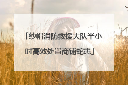 纱帽消防救援大队半小时高效处置商铺蛇患
