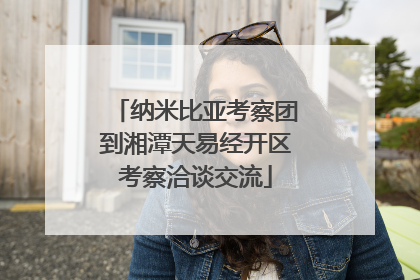 纳米比亚考察团到湘潭天易经开区考察洽谈交流
