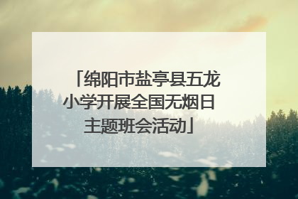 绵阳市盐亭县五龙小学开展全国无烟日主题班会活动