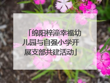 绵阳梓潼幸福幼儿园与自强小学开展支部共建活动