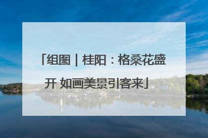组图｜桂阳：格桑花盛开 如画美景引客来