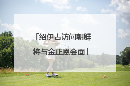 绍伊古访问朝鲜 将与金正恩会面
