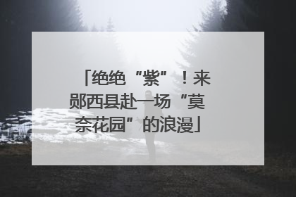绝绝“紫”！来郧西县赴一场“莫奈花园”的浪漫
