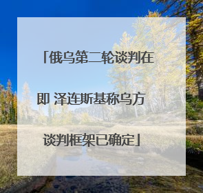 俄乌第二轮谈判在即 泽连斯基称乌方谈判框架已确定