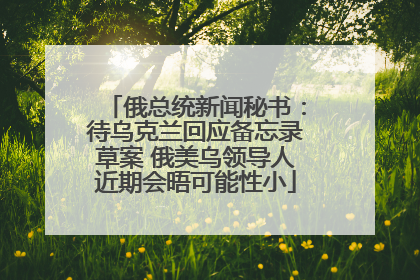 俄总统新闻秘书：待乌克兰回应备忘录草案 俄美乌领导人近期会晤可能性小