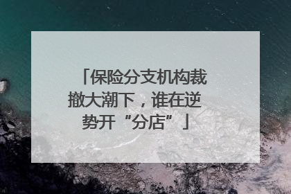 保险分支机构裁撤大潮下，谁在逆势开“分店”