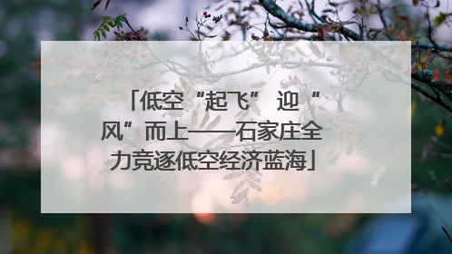 低空“起飞” 迎“风”而上——石家庄全力竞逐低空经济蓝海