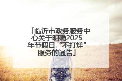 临沂市政务服务中心关于明确2025年节假日“不打烊”服务的通告