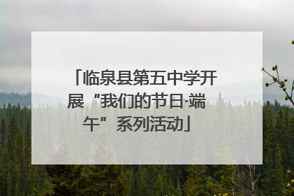 临泉县第五中学开展“我们的节日·端午”系列活动