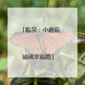 临泉：小蘑菇铺就幸福路
