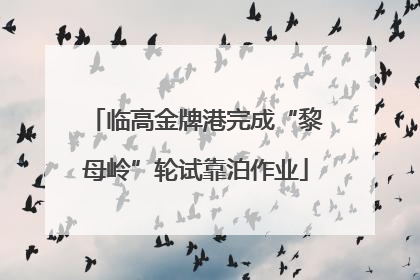 临高金牌港完成“黎母岭”轮试靠泊作业
