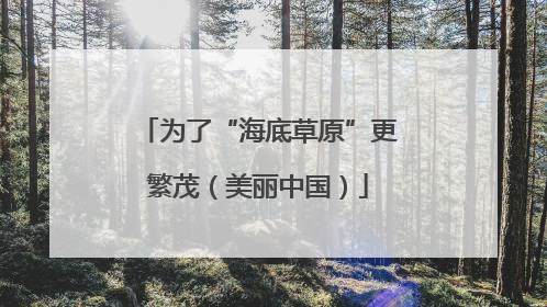 为了“海底草原”更繁茂（美丽中国）