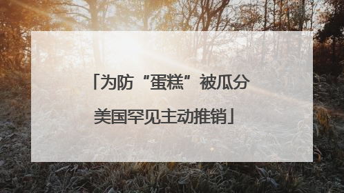 为防“蛋糕”被瓜分 美国罕见主动推销