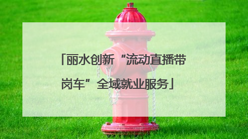 丽水创新“流动直播带岗车”全域就业服务