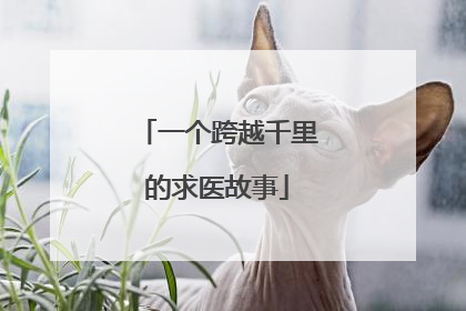 一个跨越千里的求医故事