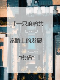一只麻鸭共富路上的发展“密码”