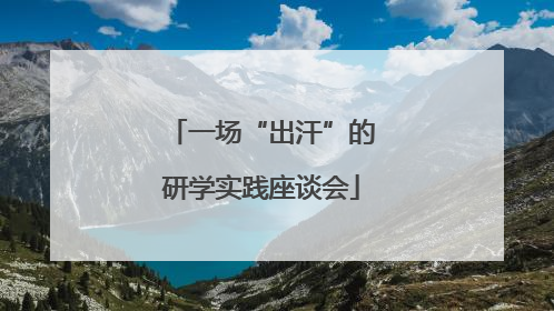 一场“出汗”的研学实践座谈会