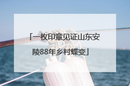 一枚印章见证山东安陵88年乡村蝶变