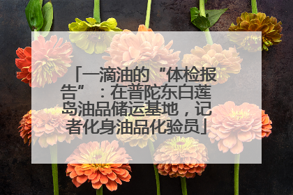 一滴油的“体检报告”：在普陀东白莲岛油品储运基地，记者化身油品化验员
