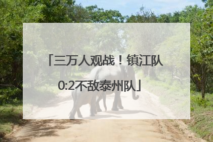 三万人观战！镇江队0:2不敌泰州队