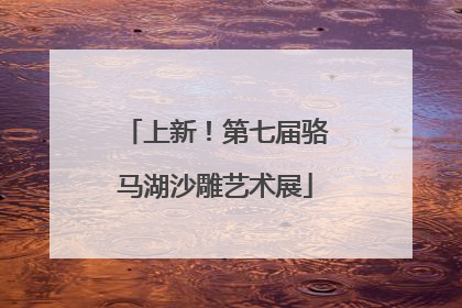 上新！第七届骆马湖沙雕艺术展