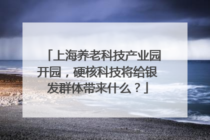 上海养老科技产业园开园，硬核科技将给银发群体带来什么？