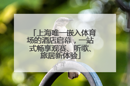 上海唯一嵌入体育场的酒店启幕，一站式畅享观赛、听歌、旅居新体验