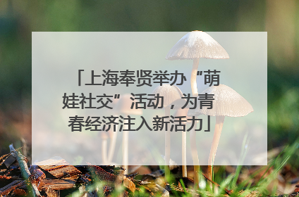 上海奉贤举办“萌娃社交”活动，为青春经济注入新活力