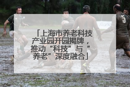 上海市养老科技产业园开园揭牌，推动“科技”与“养老”深度融合