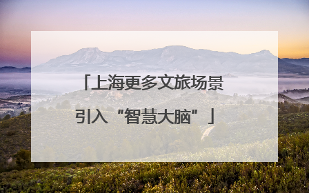 上海更多文旅场景引入“智慧大脑”