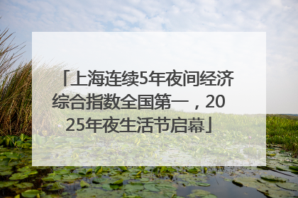 上海连续5年夜间经济综合指数全国第一，2025年夜生活节启幕