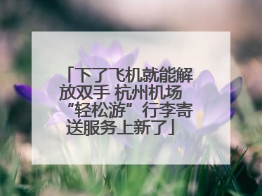 下了飞机就能解放双手 杭州机场“轻松游”行李寄送服务上新了