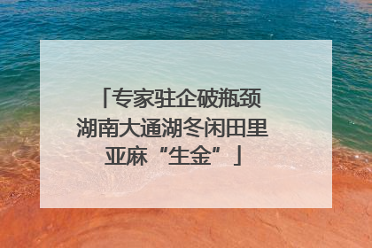 专家驻企破瓶颈 湖南大通湖冬闲田里亚麻“生金”