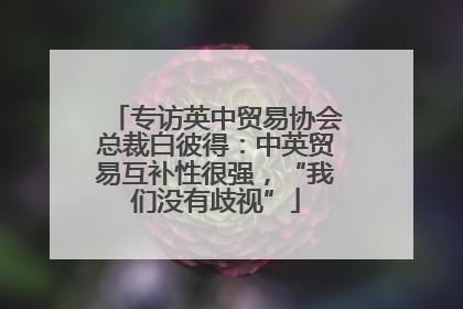 专访英中贸易协会总裁白彼得：中英贸易互补性很强，“我们没有歧视”