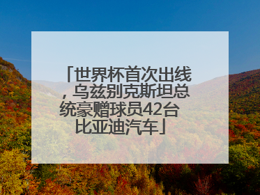 世界杯首次出线，乌兹别克斯坦总统豪赠球员42台比亚迪汽车