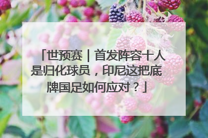 世预赛｜首发阵容十人是归化球员，印尼这把底牌国足如何应对？