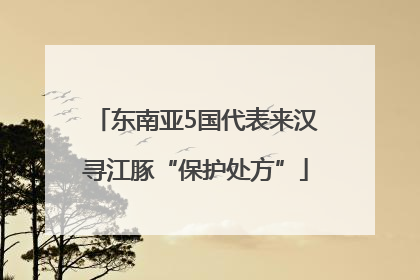 东南亚5国代表来汉寻江豚“保护处方”
