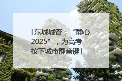 东城城管：“静心2025”，为高考按下城市静音键
